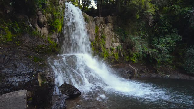 Wasserfall-im-Wald.-Waiau-Falls