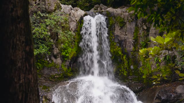 Waterfall-in-the-forest.-Waiau-Falls