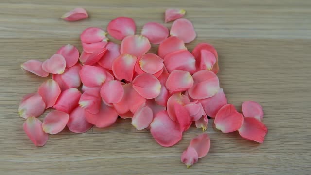 Holztisch-rosa-Rosenblüten-HD-Filmmaterial