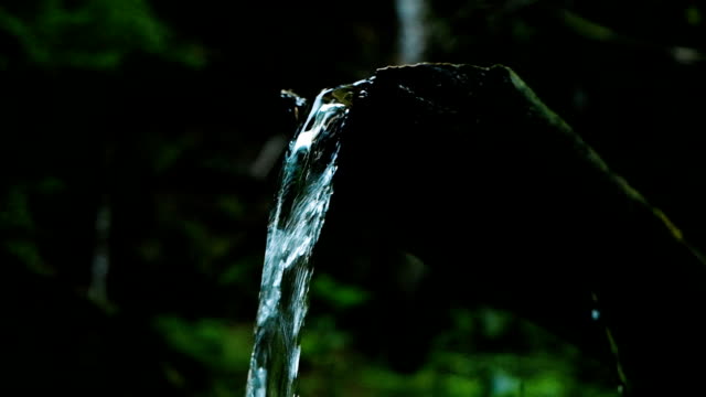 Waldbach-fließt-durch-den-Baum,-eine-Quelle-von-frischem-Trinkwasser,-Slow-motion