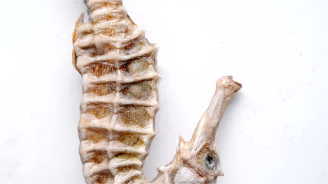 giant-size-seahorse-as-Chinese-medicine-rotating