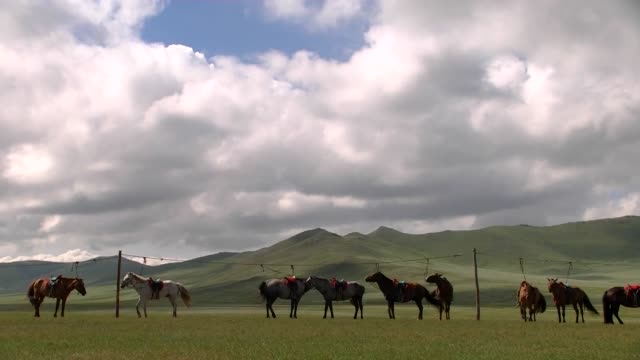 Landschaft-der-Mongolei