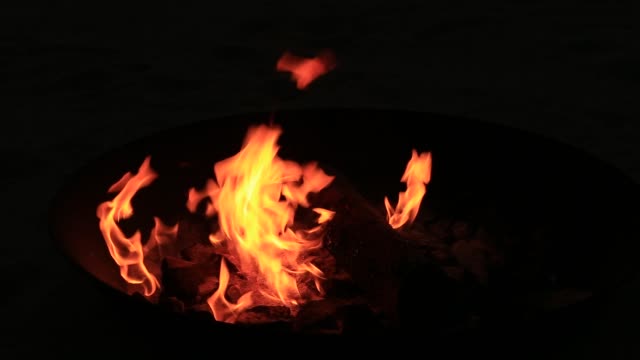 Lagerfeuer-brennen-Bäume-in-der-Nacht.-Feuer-brennt-hell,-Wärme,-Licht,-camping,-Lagerfeuer