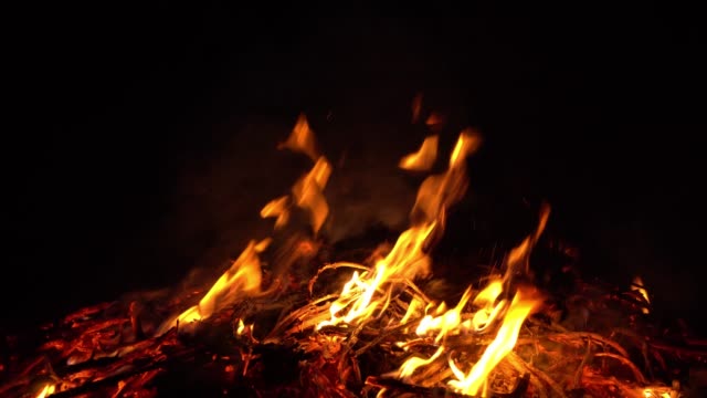 brennendes-Feuer-in-der-Natur.-helle-Flammen