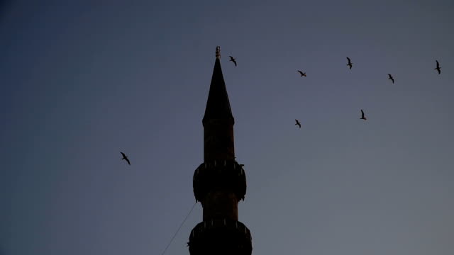 Las-gaviotas-vuelan-en-el-contexto-de-una-mezquita-en-Estambul