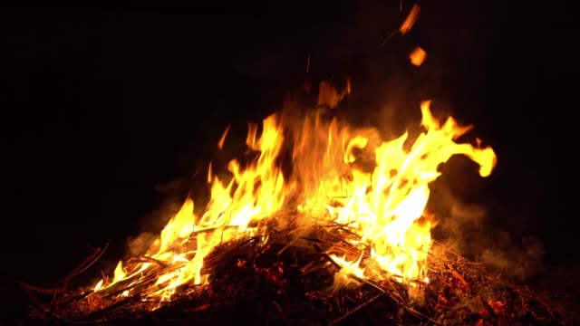 brennendes-Feuer-in-der-Natur.-helle-Flammen