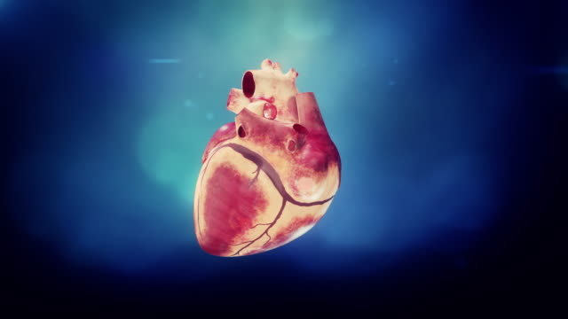 Heart-Beat-Loop