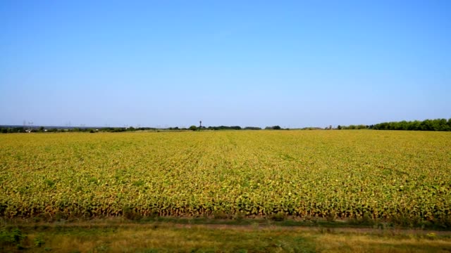 Landwirtschaftliches-Gebiet.