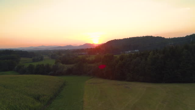 Antenne:-Fliegen-über-die-leere-grüne-Wiese-an-einem-schönen-sonnigen-Sommerabend.