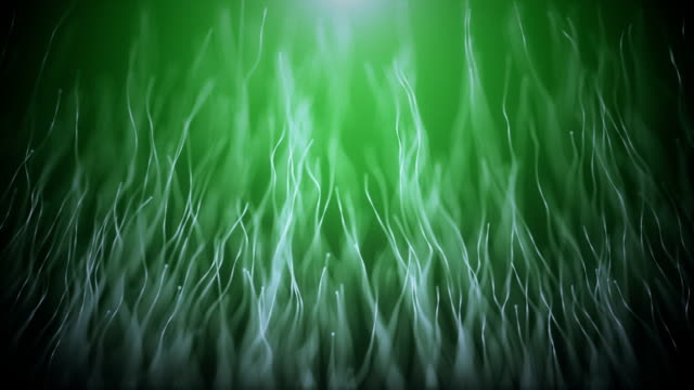 Abstract-organic-background-with-moving-and-flicker-particles.-On-beatiful-relaxing-Background.