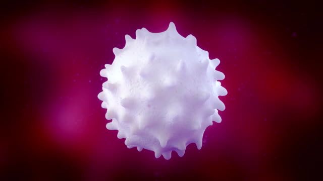 3D-Animation-der-weißen-Blutkörperchen