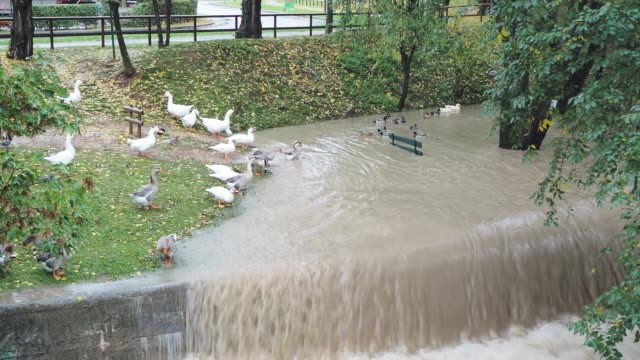 The-Serio-river-swollen-after-heavy-rains.-Province-of-Bergamo,-northern-Italy