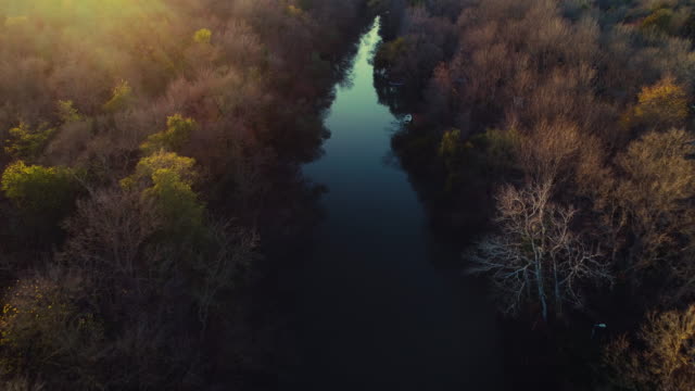 Vista-aérea-drone-sobre-los-árboles-del-río-y-el-otoño-del-bosque-durante-la-puesta-de-sol