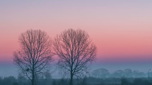 Minimalistic-rural-landscape-with-two-trees,-fog-on-a-field-and-colorful-sky-at-sunrise-time-lapse.
