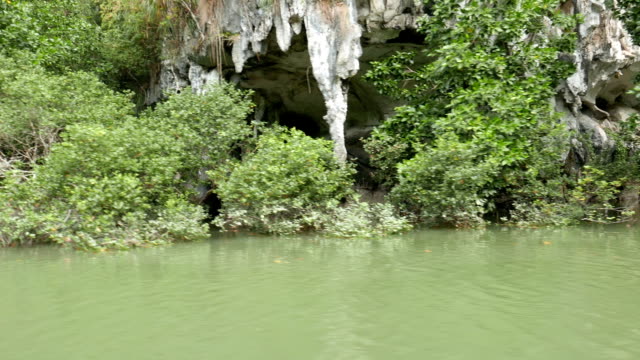 Wald-am-Kalkberg-entlang-der-Küstenregion-in-Phangnga-Bay-National-Park,-Thailand-im-Sommer-für-Umwelt,-Entspannung,-Reisen,-Reise,-Saison-und-Klimawandel-Konzept