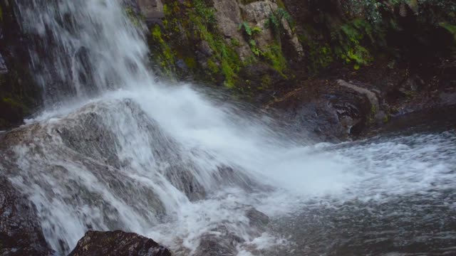 Wasserfall-im-Wald.-Waiau-Falls.