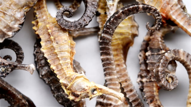 small-size-seahorses-as-Chinese-medicine-rotating