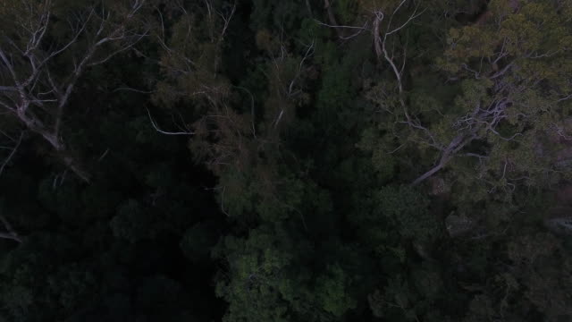 Drone-footage-flying-over-Blue-Mountains,-Australia