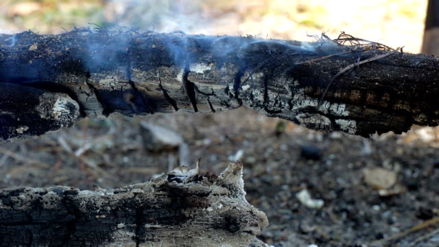 Wood-logs-smolder-over-an-extinct-fire