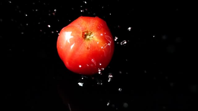 Falling-of-tomato.-Slow-motion.