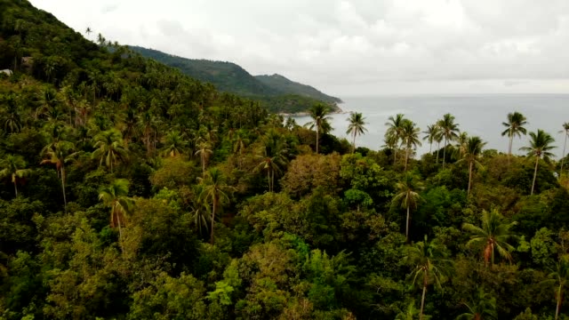 Aerial-drone-top-view-of-exotic-paradise-tropical-coastal-cliff-with-volcanic-stones-covered-with-green-jungle-rainforest-and-coconun-palms-washed-with-calm-ocean-or-sea,-Koh-Prangan-island,-Thailand