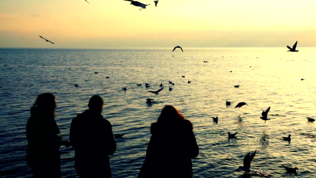 People-feed-seagulls-on-the-seashore.-Slow-motion.