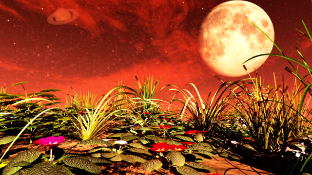 Blumen-auf-dem-roten-Planeten.-3D-Rendering.
