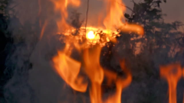 Slow-motion-fire-flame-burning-on-sunset-is-beautiful-dark-background