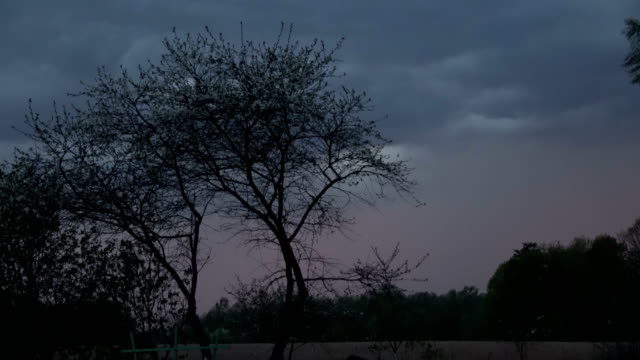 Zeitigen-Frühjahr-Gewitter-Himmel-Abend