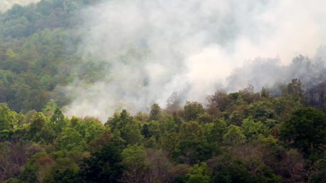incendios-forestales-en-la-montaña,-Tailandia-(tiro-de-pan)