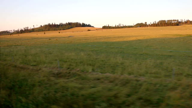 Hermosa-vista-sobre-el-campo-verde-de-una-ventana-de-tren