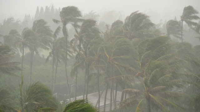 Starker-Regen-und-Wind-auf-der-tropischen-Insel-Sturm