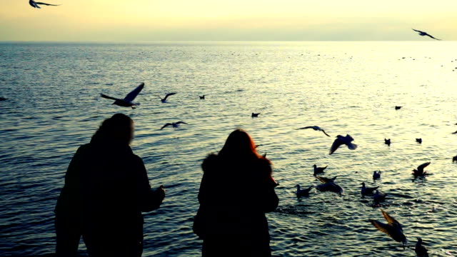 People-feed-seagulls-on-the-seashore.-Slow-motion.