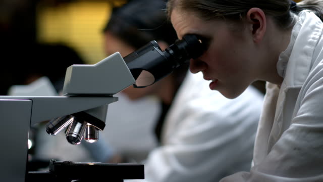 Los-estudiantes-en-un-laboratorio-de-mirar-a-través-de-un-microscopio-durante-su-experimento