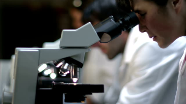 Los-estudiantes-en-un-laboratorio-de-mirar-a-través-de-un-microscopio-durante-sus-experimentos