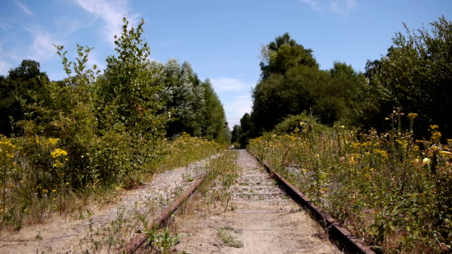 Antigua-vía-de-ferrocarril-abandonada