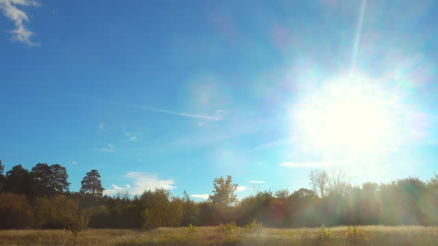 Schöne-Sonnenlicht-bei-blauem-Himmel-über-Wald--und-Wiesenwege.