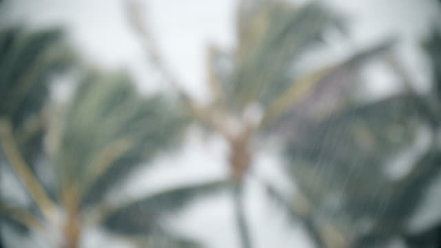 Soft-Fokus-Hintergrund-der-Regen-fällt-In-tropischer-Sturm