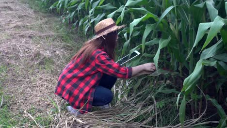 Cheerful-Asian-Farmer