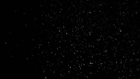 Falling-down-snowflakes-on-black