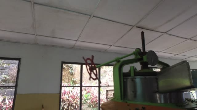machine-grinding-tea-raw-on-factory