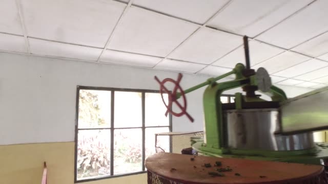 machine-grinding-tea-raw-on-factory