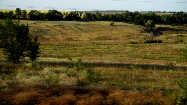 Agricultural-fields.