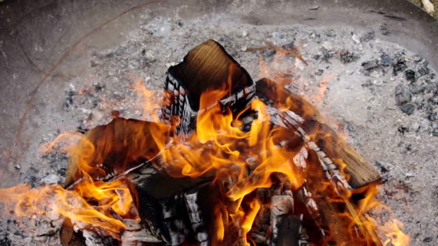 Burning-firewood-of-bonfire