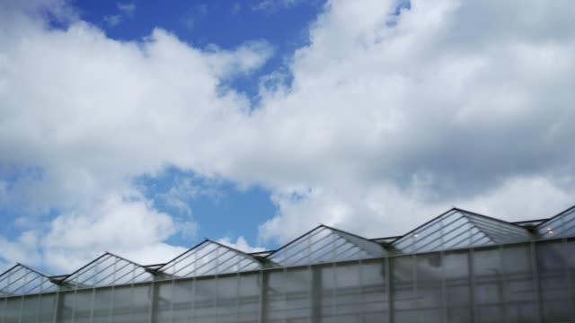 Tracking-shot-of-large-modern-greenhouse-roof-tops-and-sky-with-clouds-above-them