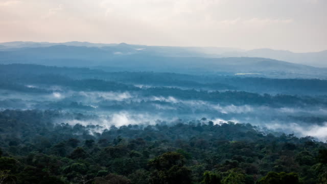 Niebla-de-lapso-de-tiempo-en-la-selva-de-Tailandia-Khao-Yai