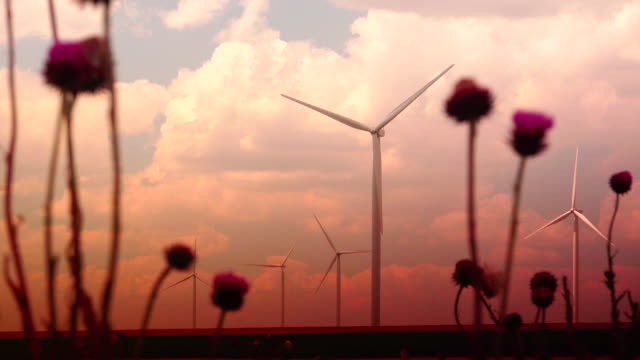 Cluster-von-Windenergieanlagen-erstellen-sauber-&-erneuerbare-Energie,