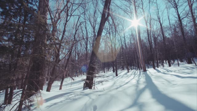 Slow-motion-sliding-view-of-snowy-winter-forest-and-human-footprints.-Sunny-day