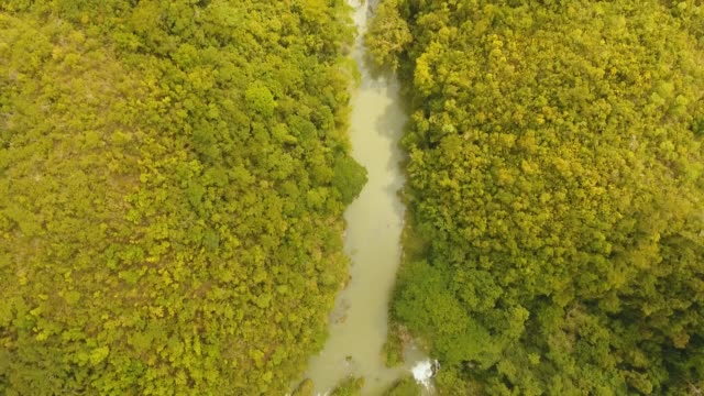 Río-en-la-selva-de-Filipinas,-Bohol