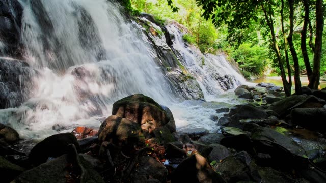 Waterfall-in-the-forest